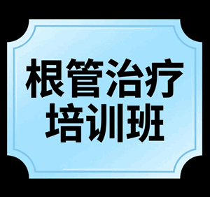 根管治疗的步骤过程 口腔根管治疗培训班实操视频课培训教程-1