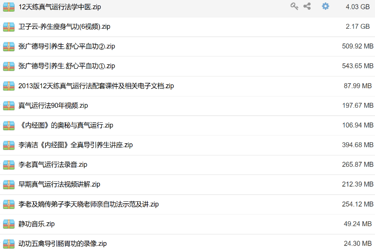 李少波真气运行法视频全集 李少波真气运行法视频全集