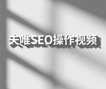 夫唯SEO操作视频课程培训教程-1 夫唯SEO操作视频课程培训教程-1