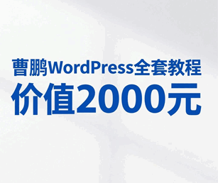 曹鹏wordpress教程视频 全套价值2000元培训教程-1