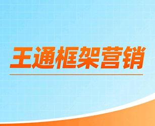 王通框架营销秘籍培训教程-1