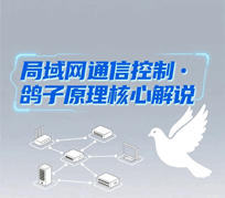 局域网通信控制·鸽子原理核心解说培训教程-1